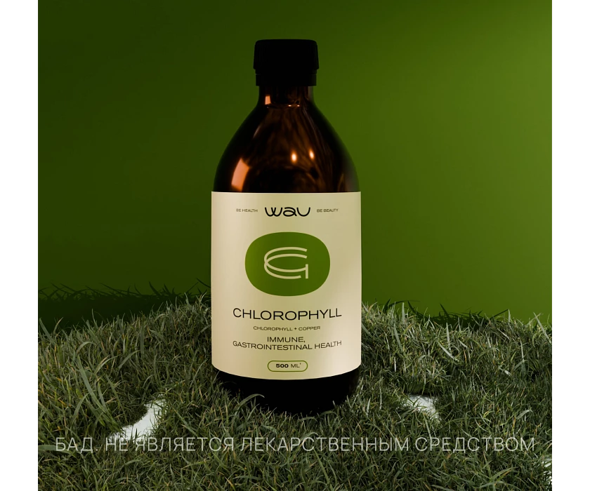 CHLOROPHYLL — поддержка иммунитета и ЖКТ