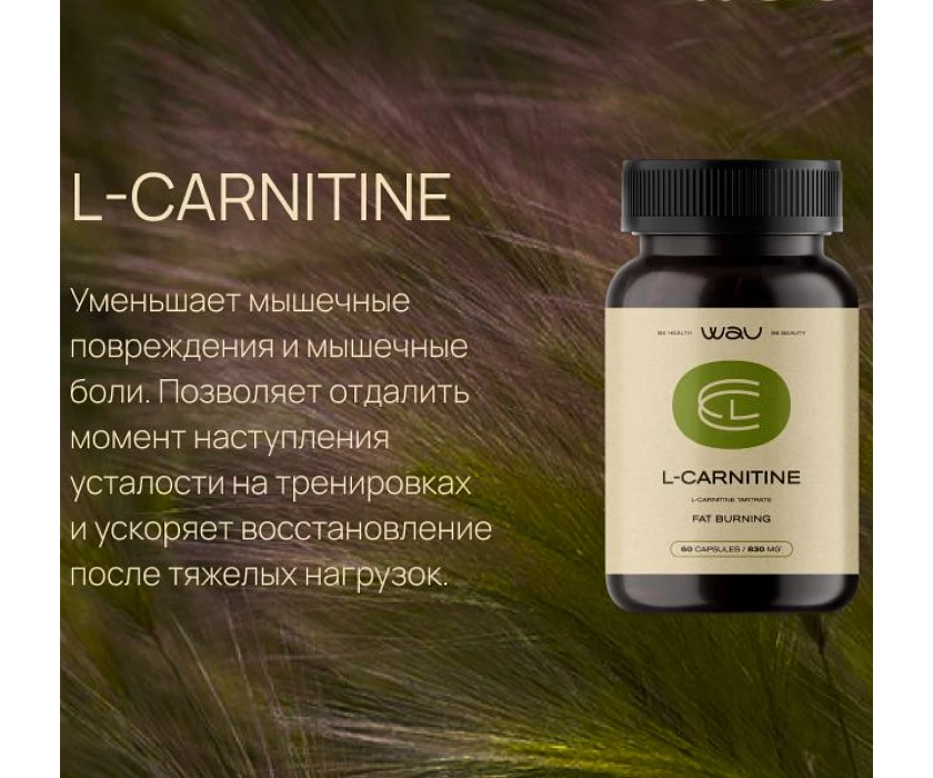 L-CARNITINE — сжигание жира