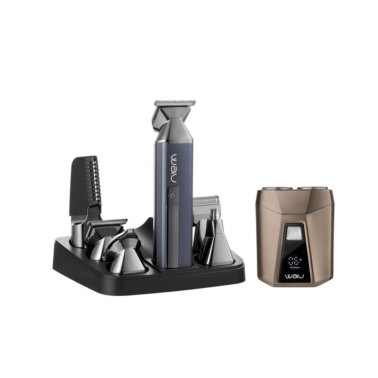 تقليم وانطلاق